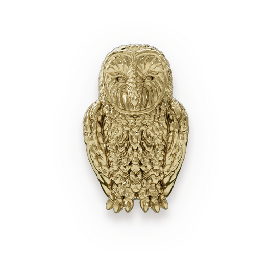 Owl | Brass
